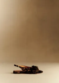 Ballerines Low Stefania - Léopard Velours — view 5