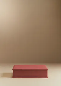 Boîte Rangement - Blush — view 2