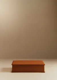 Boîte Rangement - Caramel — view 4