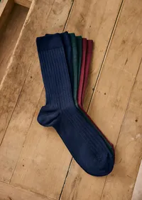 Chaussettes Pack Ivie - Bordeaux Bleu Vert — view 3