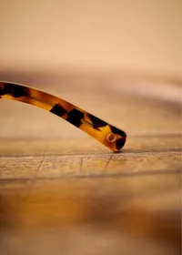 Lunettes de soleil Leo - Écailles — view 2