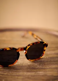 Lunettes de soleil Leo - Écailles — view 3