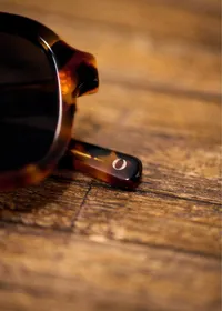 Lunettes de soleil Leo - Écailles — view 5