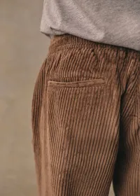 Pantalon Danny Velours - Tabac — view 3