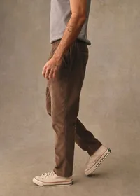 Pantalon Danny Velours - Tabac — view 5