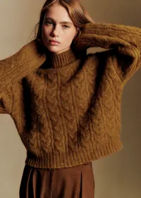 Pull Hugo - Fauve — view 2