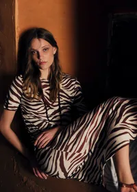 Robe Lara - Imprimé Zebra Terre — view 3