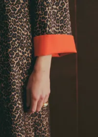 Robe Line - Imprimé Winter Leopard Camel — view 4