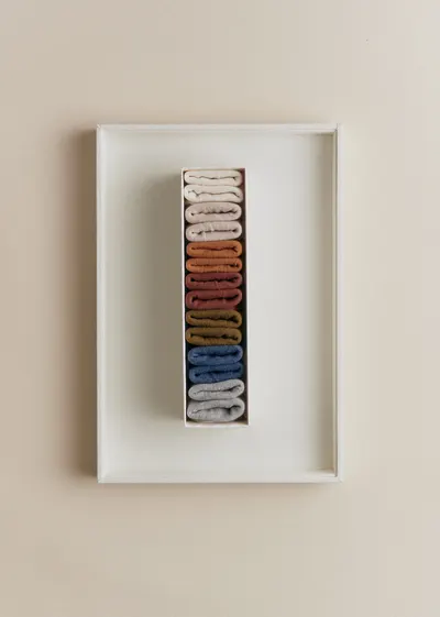 Semainier de chaussettes Naissance - Multicolore