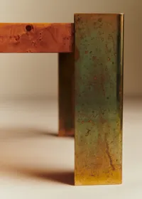 Table basse vintage en loupe d'orme et piètement en laiton - Loupe d'orme — view 2