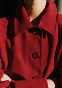 Veste Robbin - Rouge Foncé — view 2